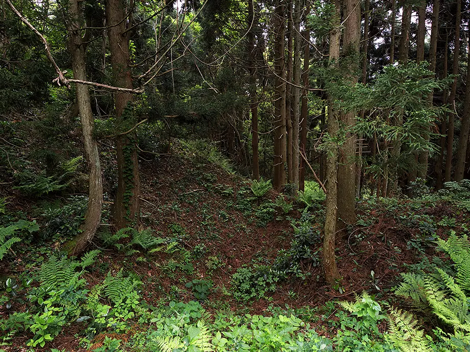 鶴子銀山